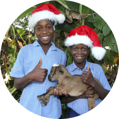 Jeg vil gi en levende julgave 2025