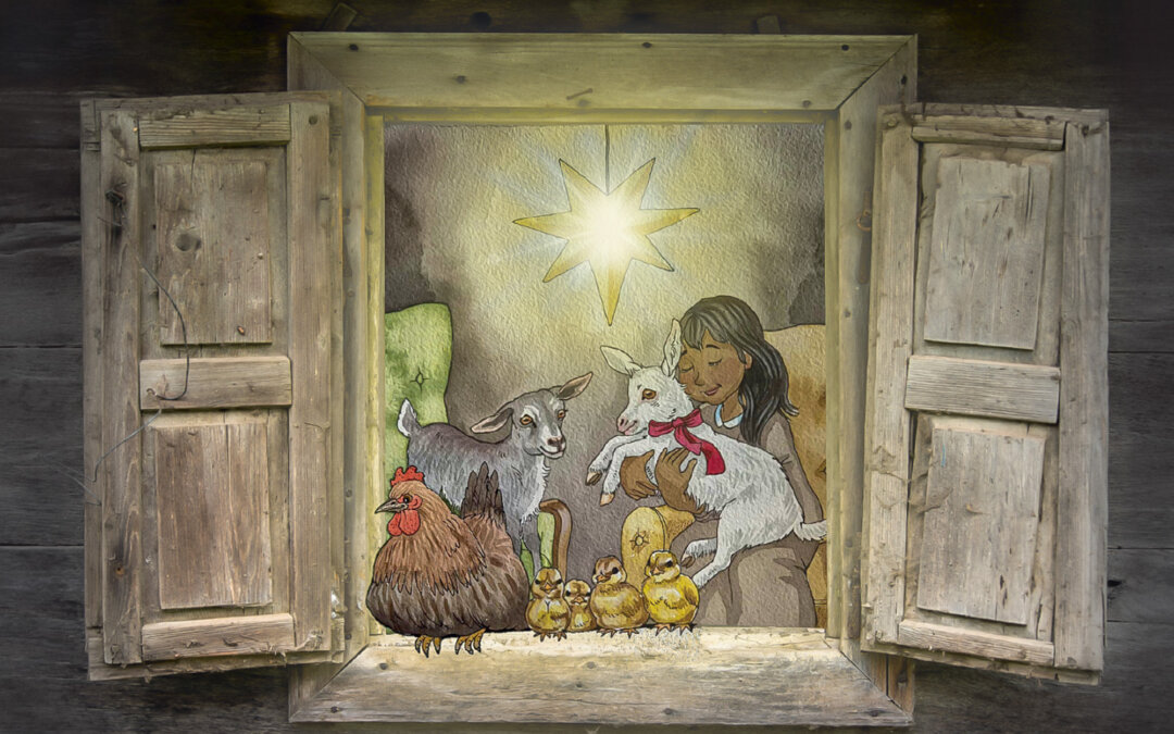 Lys opp mørket med en levende julegave!